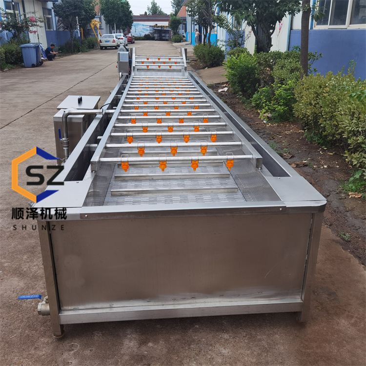 百香果清洗機高壓噴淋藍莓清洗機連續(xù)式桑芽菜清洗漂燙流水線
