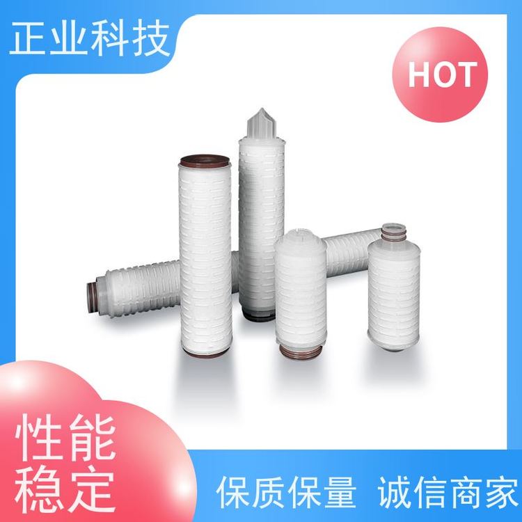 正業(yè)科技石油化工過濾專用折疊濾芯排污方便親水性強光滑無毛刺