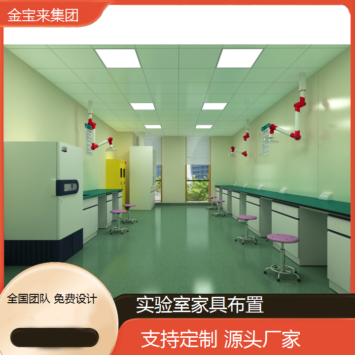 生物實(shí)驗(yàn)室設(shè)備實(shí)驗(yàn)臺廠家工作臺操作臺潔凈車間中央實(shí)驗(yàn)桌布置