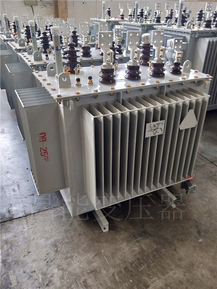 電力變壓器S22-800KVA\/10KV油浸式變壓器廠家工期短發(fā)貨快