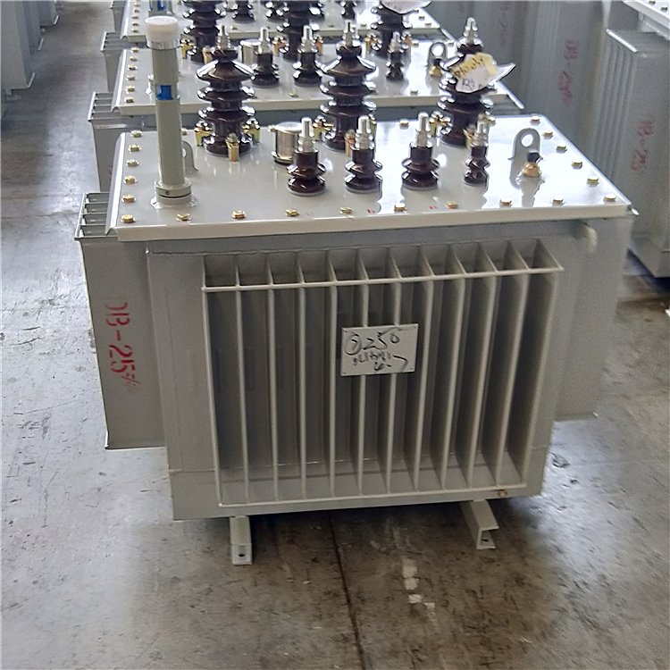 1250KVA娌规蹈寮忚畩澹撳櫒S1410kv绯诲垪闆诲姏璁婂鍣ㄩ€佽波涓婇杸