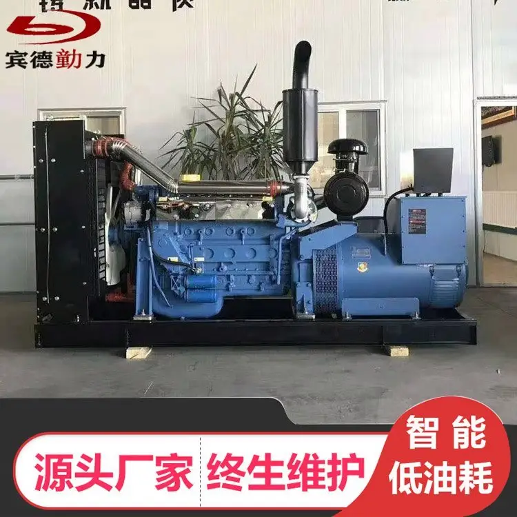 200KW柴油發(fā)電機(jī)組學(xué)校備用智能啟動省油耐用