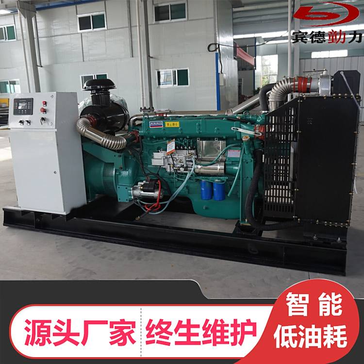 200KW柴油發(fā)電機(jī)組賓德動(dòng)力功率齊全性能穩(wěn)定