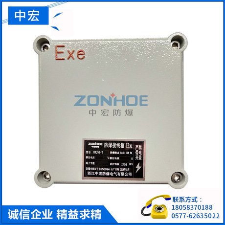 防爆接線箱隔爆型IIC動力檢修配電控制箱廠家批發(fā)