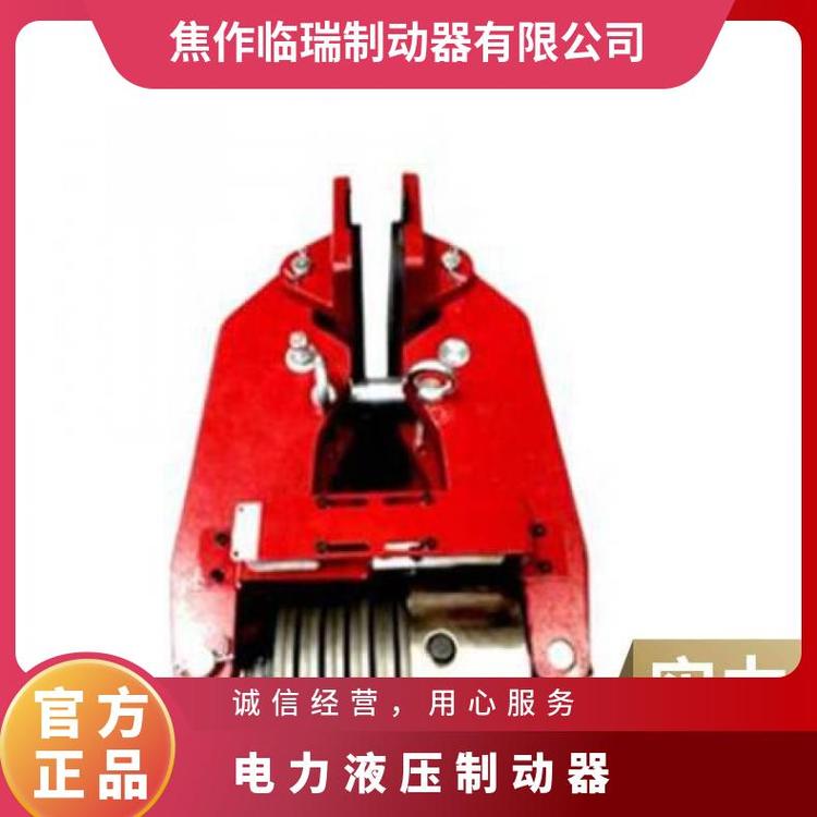 金箍臨瑞制動器YWZ8-800\/E301\/128-500\/E121電力液壓推動器配套鼓