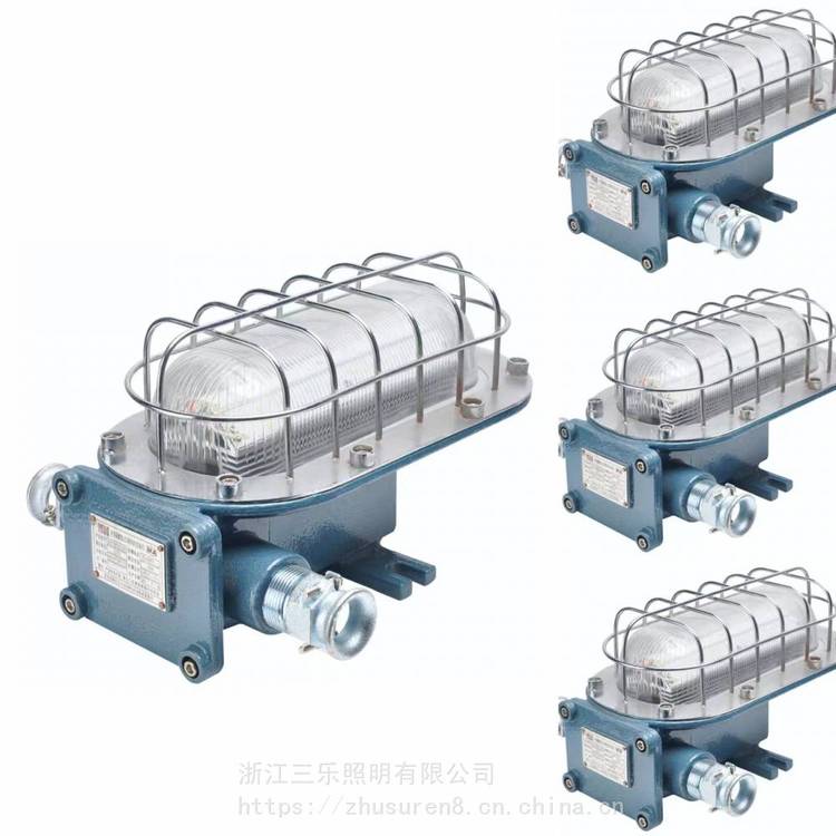 煤礦井下泵房DGS24\/127L(A)礦用隔爆型LED巷道燈