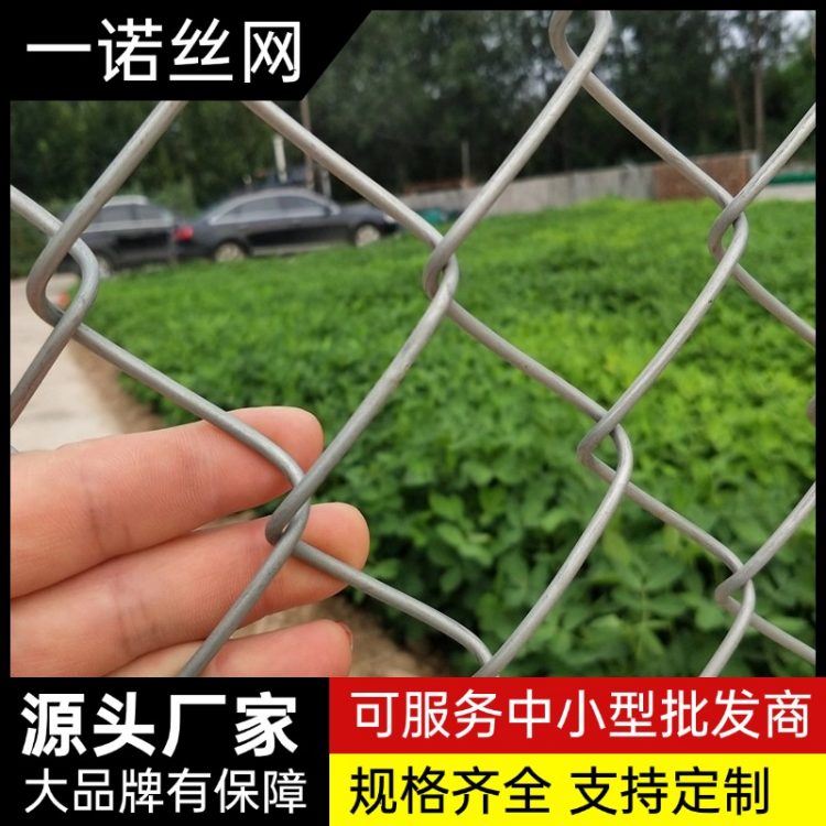 一諾礦用菱形網(wǎng)支護(hù)編織網(wǎng)綠化植草網(wǎng)鍍鋅鐵絲網(wǎng)