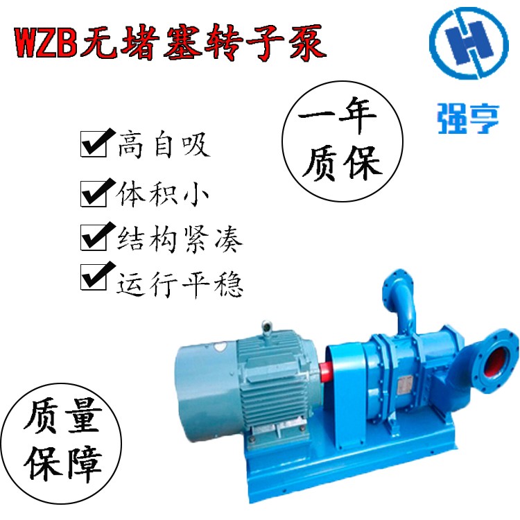 大流量無(wú)堵塞轉(zhuǎn)子泵污水污泥糞便等介質(zhì)電動(dòng)輸送泵