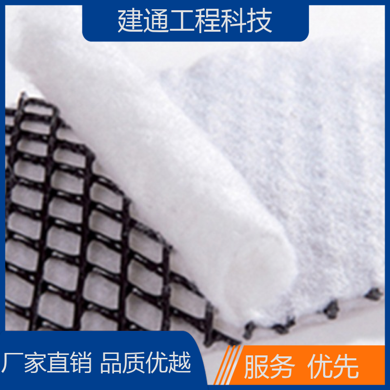 酸堿耐磨建通工程施工簡單鐵路隧道護坡工程土工復合排水網(wǎng)