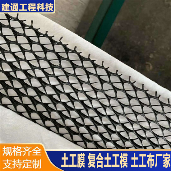復(fù)合排水網(wǎng)公路鐵路用三維土工網(wǎng)墊耐腐蝕酸堿