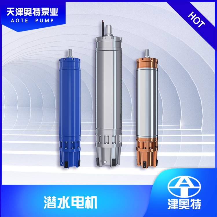 廠家現(xiàn)貨不銹鋼潛水電機(jī)_型號(hào)規(guī)格_大功率防腐蝕_河道池塘