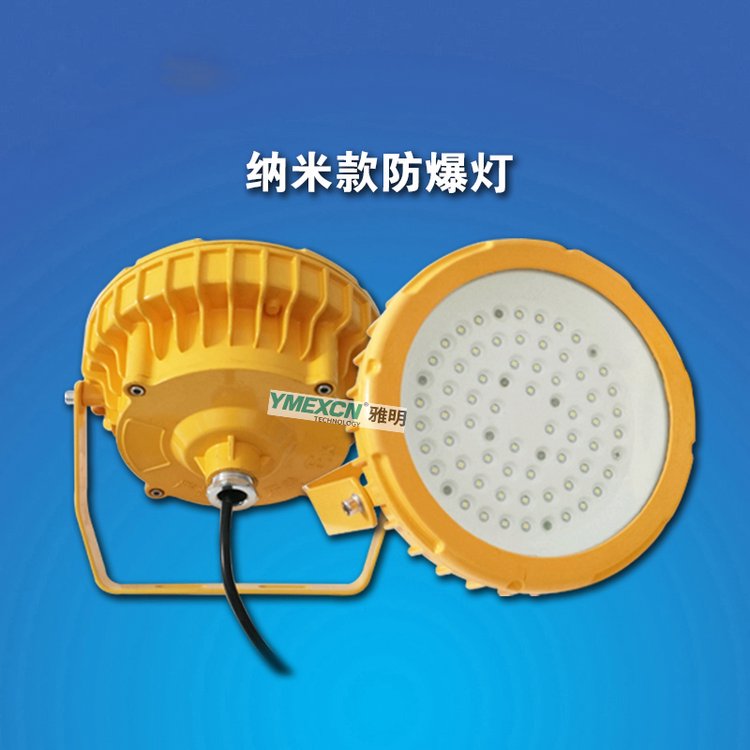 24V36V低壓LED防爆燈30W50W80W100W吸頂式隔爆型平臺燈工礦燈