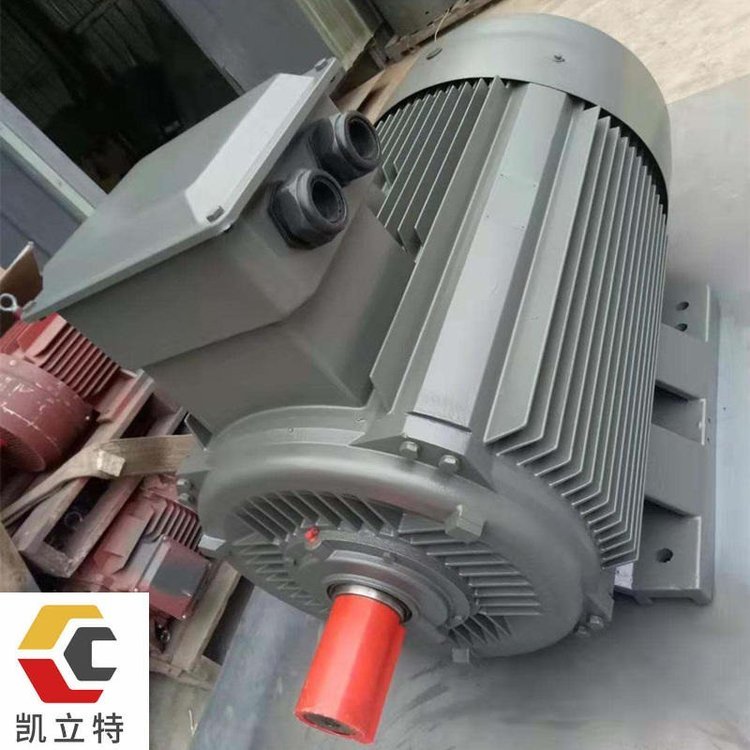 YE系列電機(jī)衡水凱立特電機(jī)YE2315L-4-160KW三項(xiàng)異步電動(dòng)機(jī)純銅線包國(guó)標(biāo)供應(yīng)