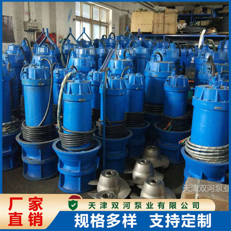 永磁同步電機高速軸流泵防汛抗洪排澇泵大排量潛水泵