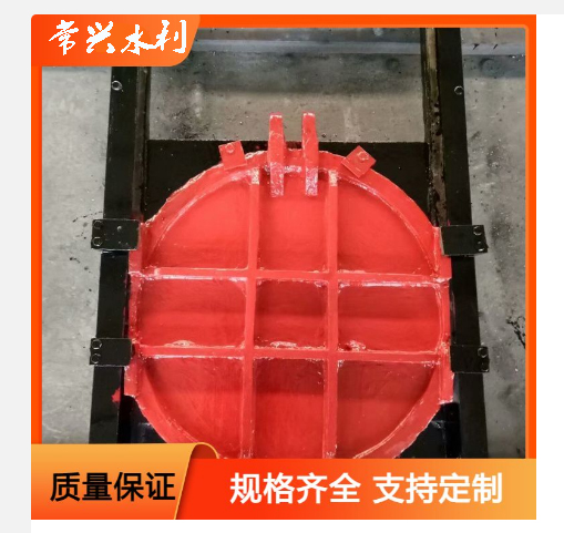 專(zhuān)業(yè)生產(chǎn)鑲銅鑄鐵閘門(mén)適用于水利工程指導(dǎo)安裝