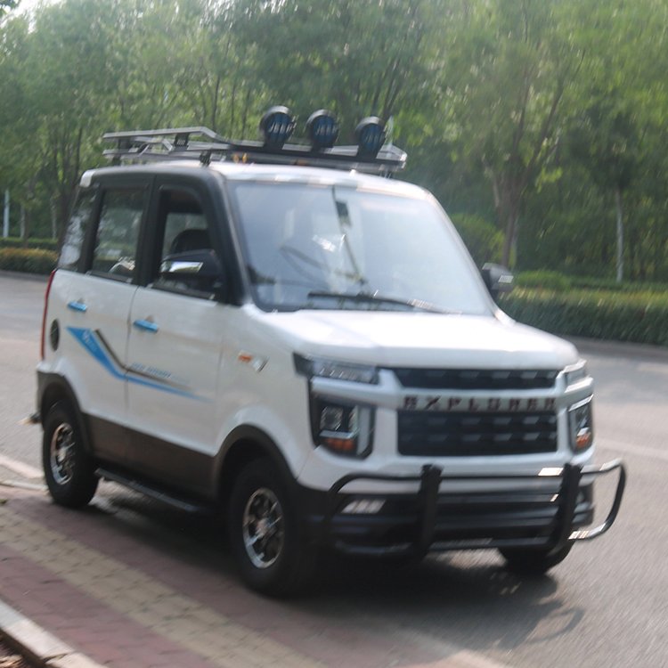 高端低速代步車汽車四輪電動車油電兩用越野家用電瓶代步轎車