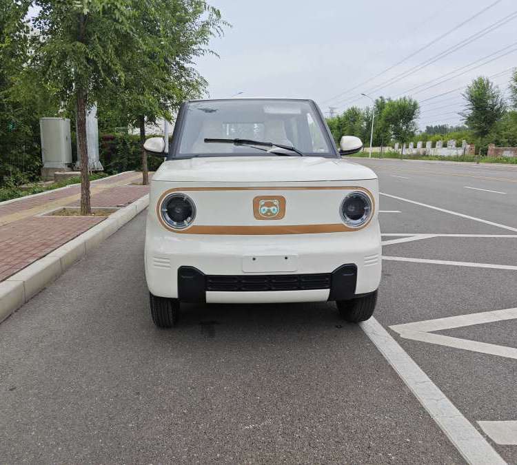城鄉(xiāng)高顏值時尚電轎接送孩子電動四輪車家用成人豪華版代步車