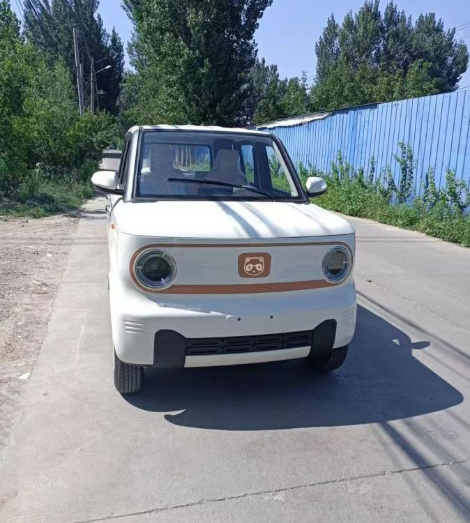 廠家定制新能源電動汽車成人四輪家用封閉代步兩用鋰電瓶四輪轎車