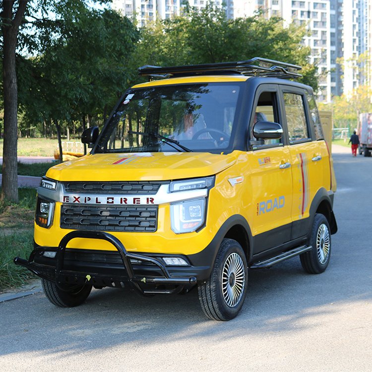 成年人家用兩用電瓶車載人載貨駐車手剎自動檔油電兩用