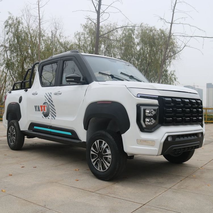 電動(dòng)車新能源汽車油電兩用小型家用女成年老頭樂代步越野皮卡