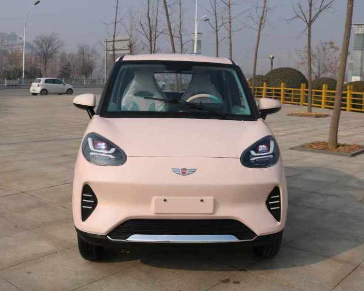 新款皮卡四輪代步車接送學(xué)生家用買菜全封閉鋰電池油電兩用電動車