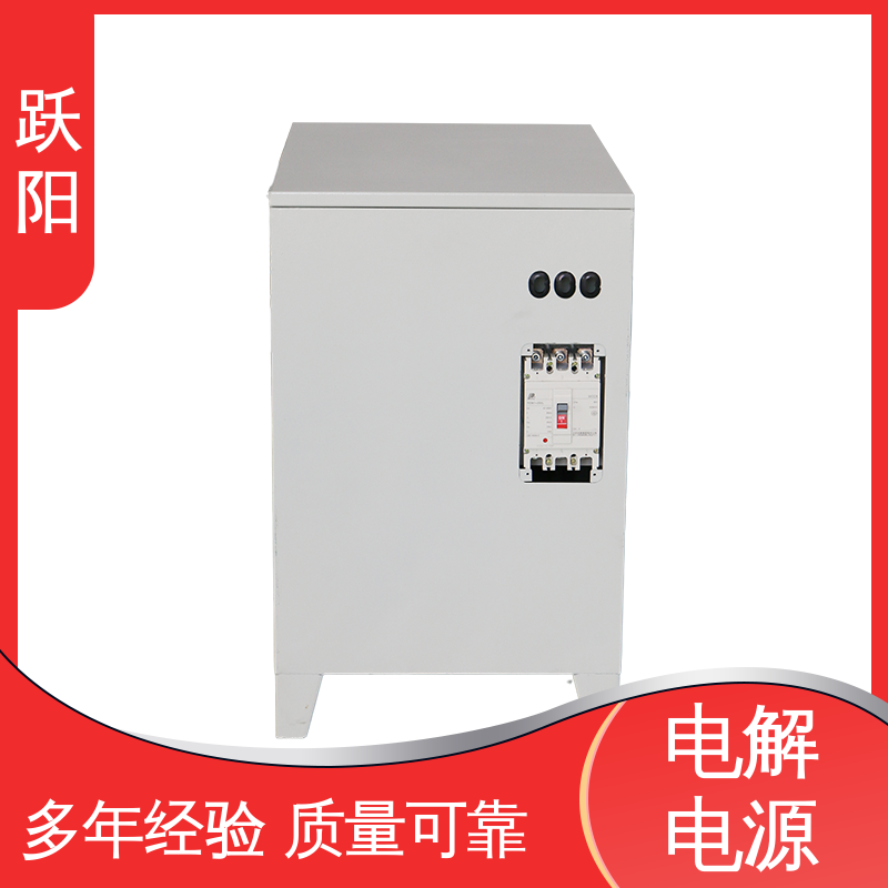 廠家供應多重保護機制源頭工廠可調恒流恒壓電解電源