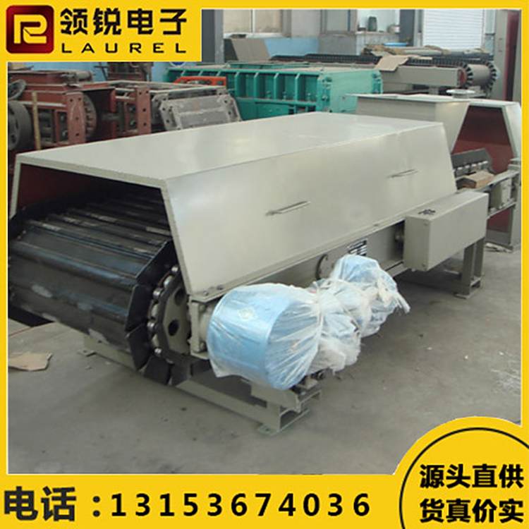 領(lǐng)銳高精度稱重定量給料機物料傳送操作簡單感應靈敏支持定制