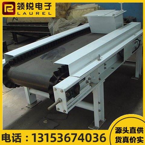 領(lǐng)銳定量給料機(jī)控制給料量運行平穩(wěn)操作簡單型號可定制