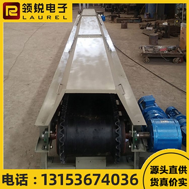 帶式定量給料機支持定制廠家安裝結(jié)構(gòu)穩(wěn)定易操作