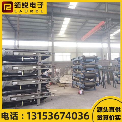 領(lǐng)銳密封皮帶秤稱重度高耐磨損操作簡(jiǎn)單維護(hù)方便