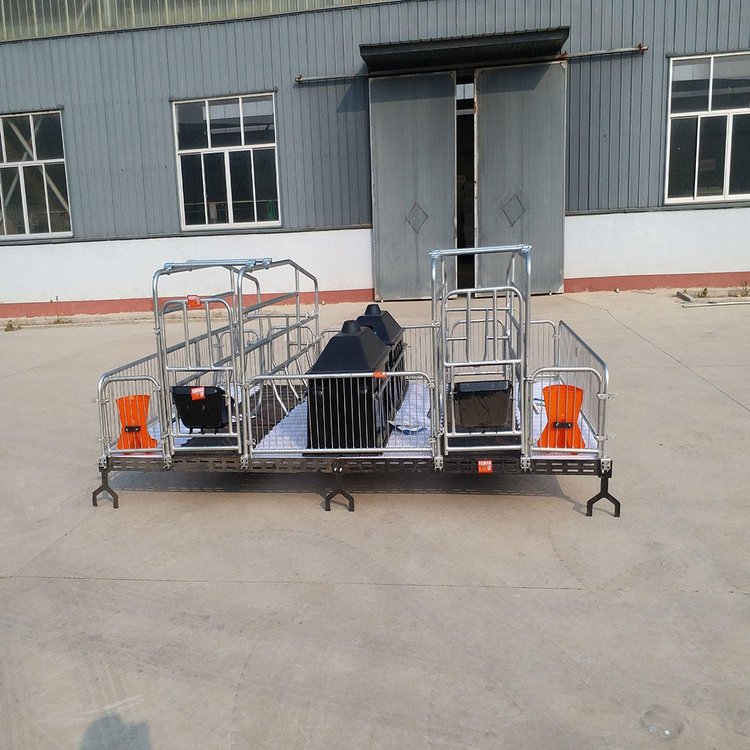 世昌畜牧雙體母豬欄單體豬欄鐵板母豬產(chǎn)床繁殖設(shè)備全新