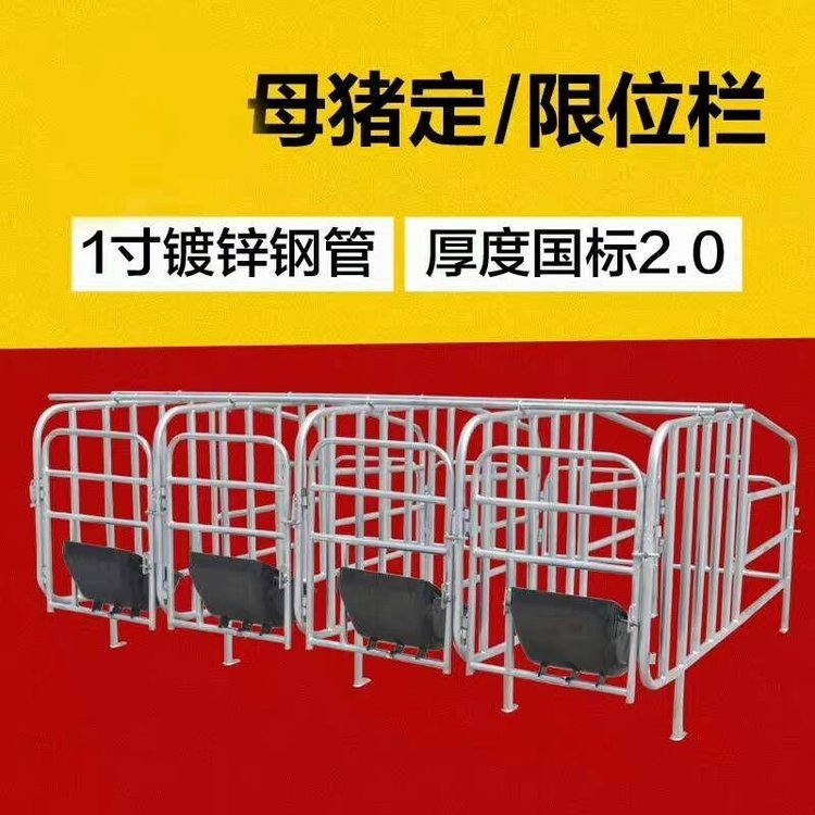 世昌畜牧供應豬用定位欄配置重量養(yǎng)殖場機械設備
