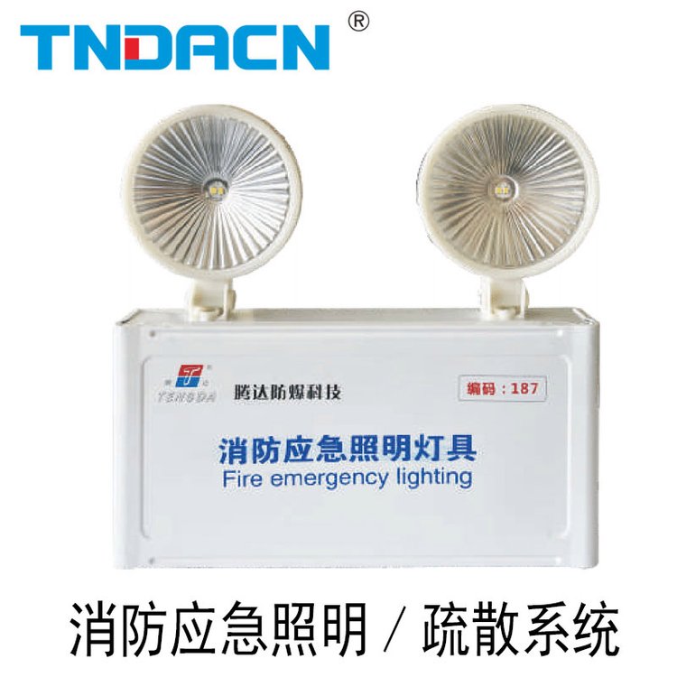 集中控制型消防應(yīng)急照明燈具普通商用集控型A型兩頭應(yīng)急燈帶電池