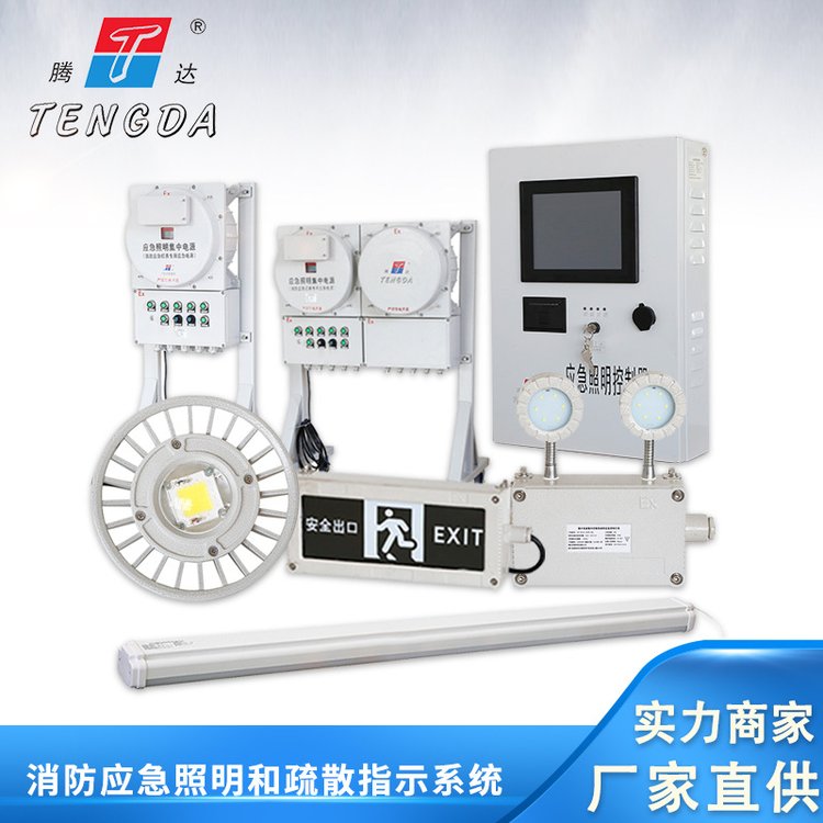 防爆集中控制應急燈智能消防系統(tǒng)A型應急照明集中電源配電箱