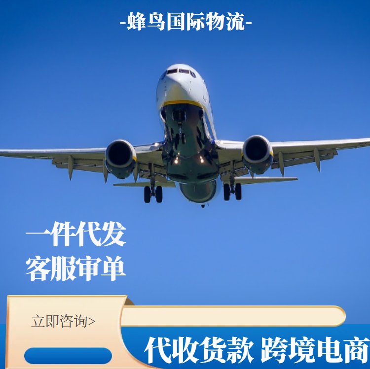 深圳到印尼電商小包快遞東南亞海外倉一件代發(fā)代收款空運(yùn)物流