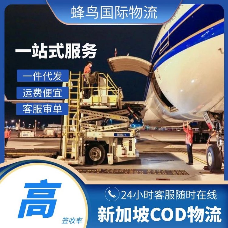 廣州新加坡COD小包海外倉一件代發(fā)跨境電商物流可代收貨款