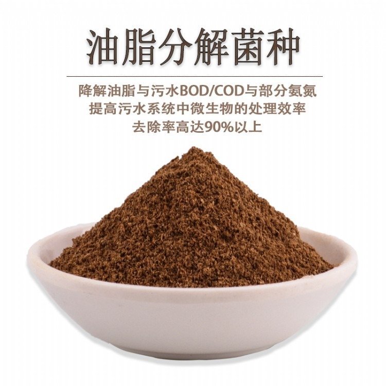 甘度污水處理池培養(yǎng)菌種油脂分解菌去除速率快全程技術(shù)指導(dǎo)
