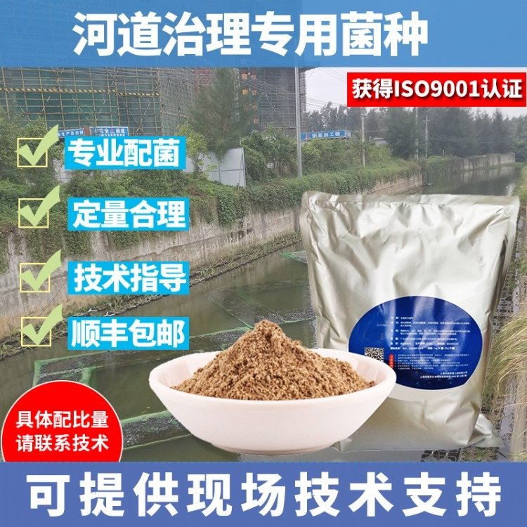 甘度河道治理菌種枯草芽孢桿菌治理黑臭水體免費拿樣品
