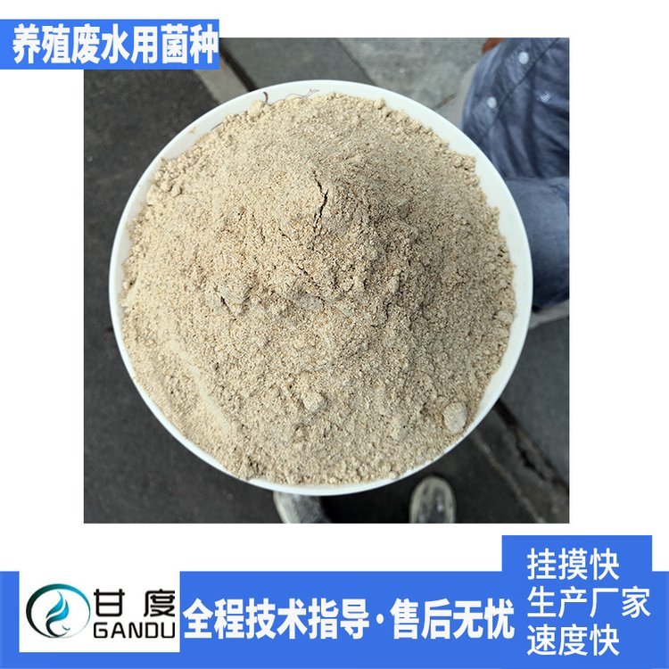 甘度耐低溫反硝化菌種缺氧池降解總氮精品工廠