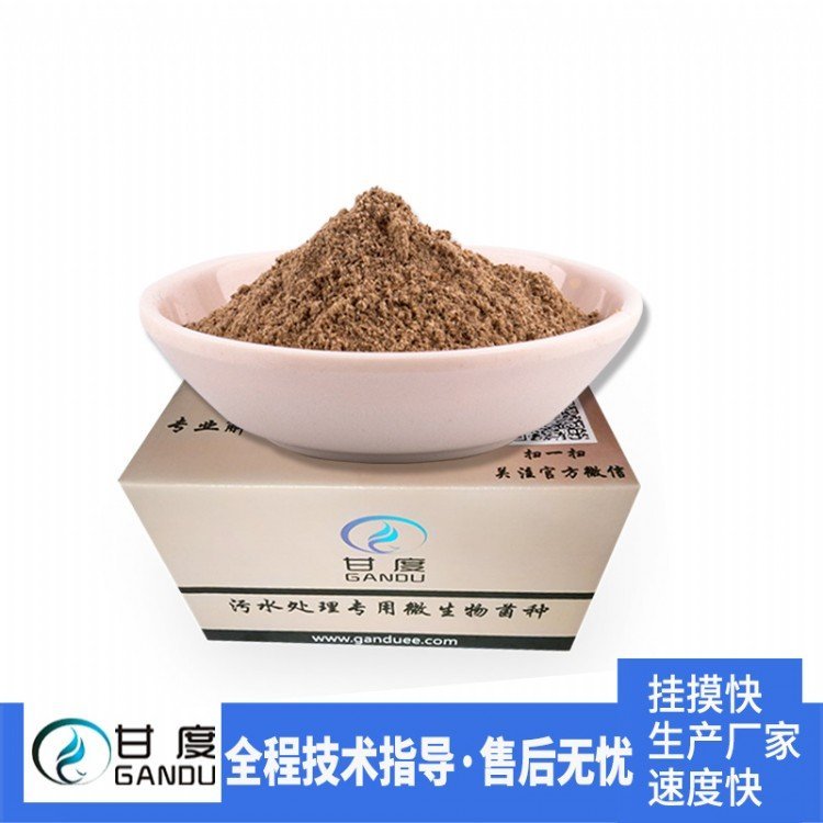 甘度硝化菌種類生活污水處理菌降解氨氮降解效果好
