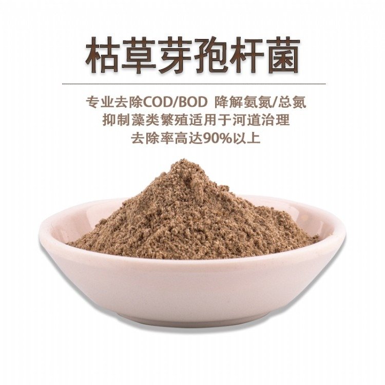 微生物菌種河道治理枯草芽孢桿菌提供污水調(diào)試服務(wù)不達(dá)標(biāo)不收費(fèi)