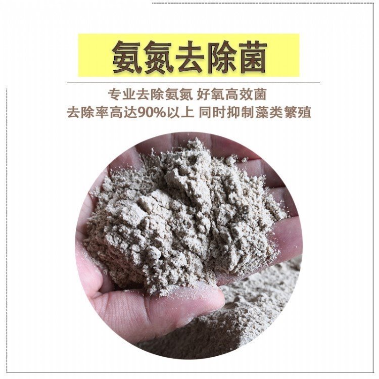 甘度除污菌種氨氮降解菌種馴化微生物菌種效果好