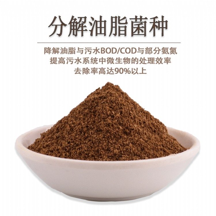 甘度油脂分解菌微生物菌處理有效去除污水中油脂