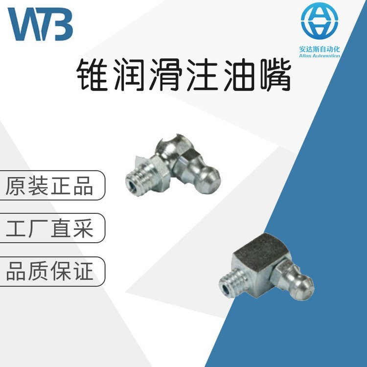 工廠直采德國WTB錐潤滑注油嘴DIN71412C(H3\/90°)多型號(hào)