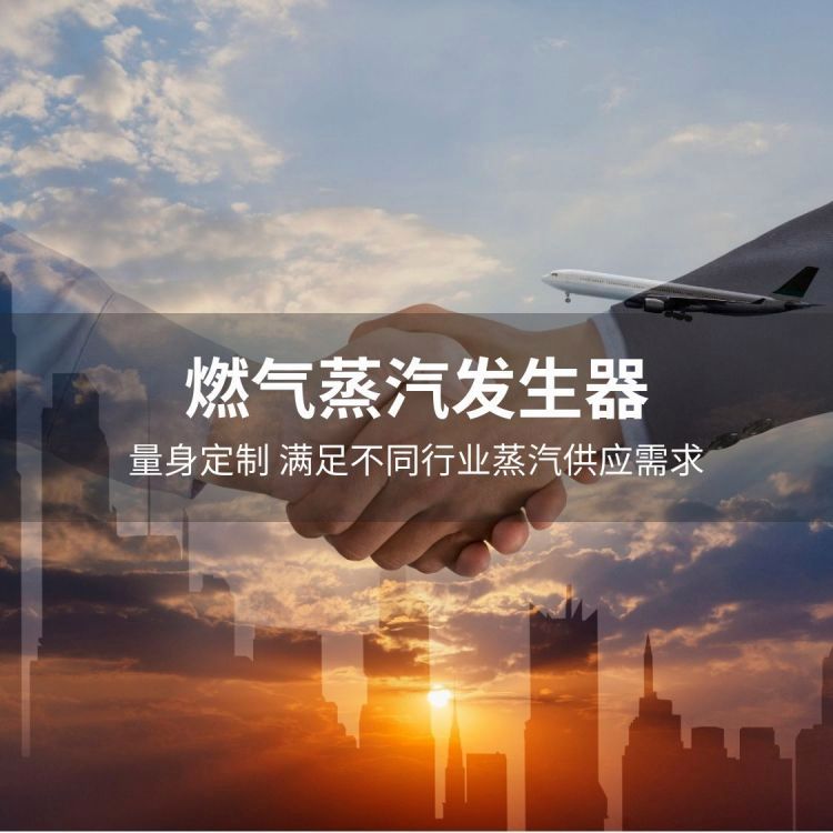 燃?xì)庹羝l(fā)生器工業(yè)級設(shè)備湖北貝思特定制高效節(jié)能