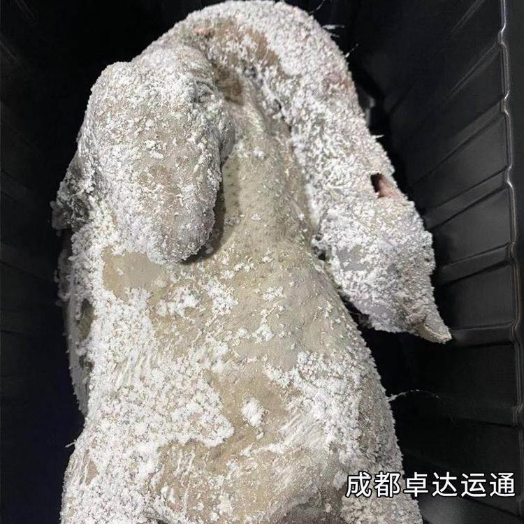 長沙液氮速凍機(jī)\/食品速凍機(jī)廠家