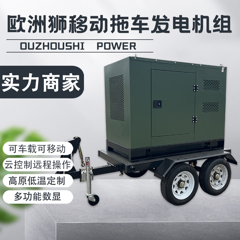 項目投標(biāo)50kw箱體柴油發(fā)電機組資質(zhì)齊全歐洲獅動力GT50-TSI