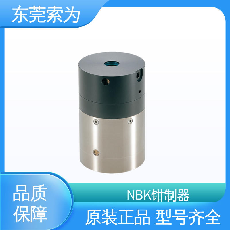 索為自動(dòng)化導(dǎo)軌鉗制器RBPS系列固定器RBPS-2400-A現(xiàn)貨直供
