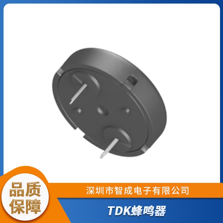 PS1740P02CE