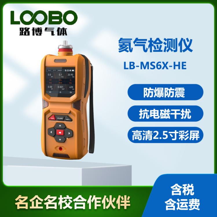 路博手持式氦氣分析儀泵吸式He氣體檢測(cè)報(bào)警儀